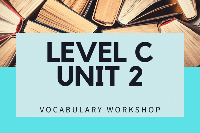 Unit 2 vocabulary workshop level e