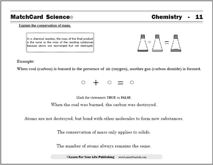 Conservation worksheet law energy pdf mass graph luxury answers source