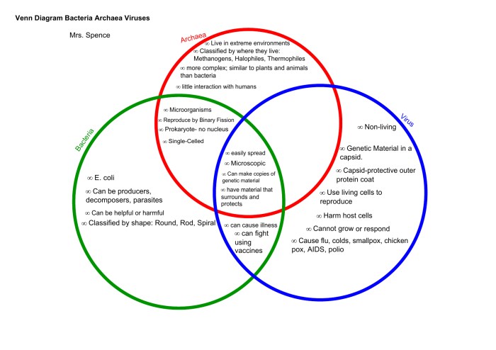 Viruses bacteria venn diagram