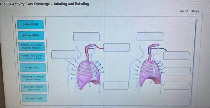 Inhaling exhaling questions and answers