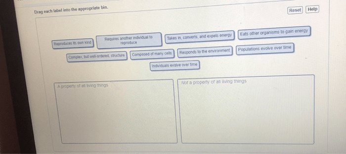 Permits solved hint transcribed problem