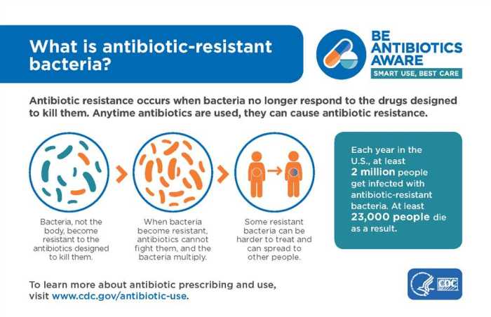 Antibiotic resistance can we ever win answer key