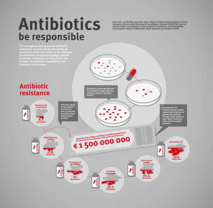 Antibiotic resistance can we ever win answer key