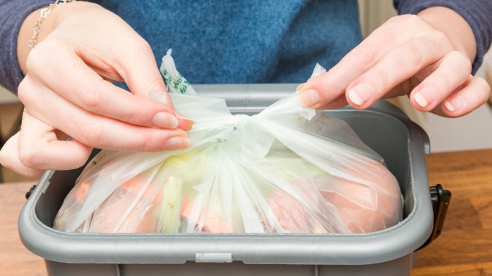 How should food worker deter pests from outdoor dumpsters