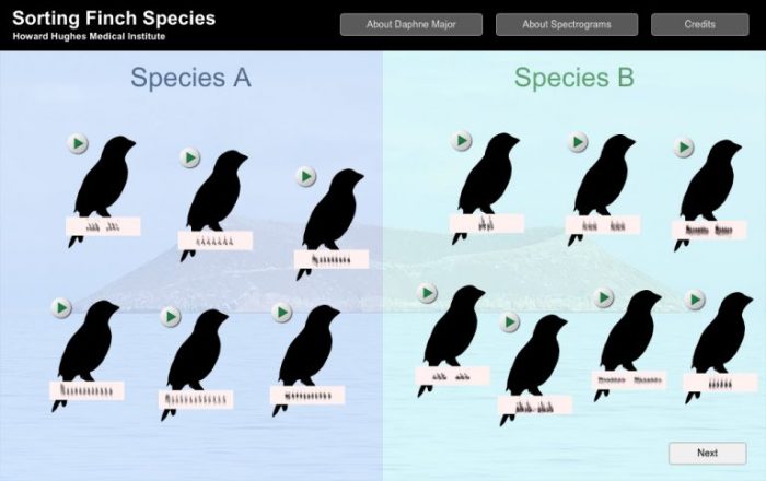 Sorting finch species click and learn answer key