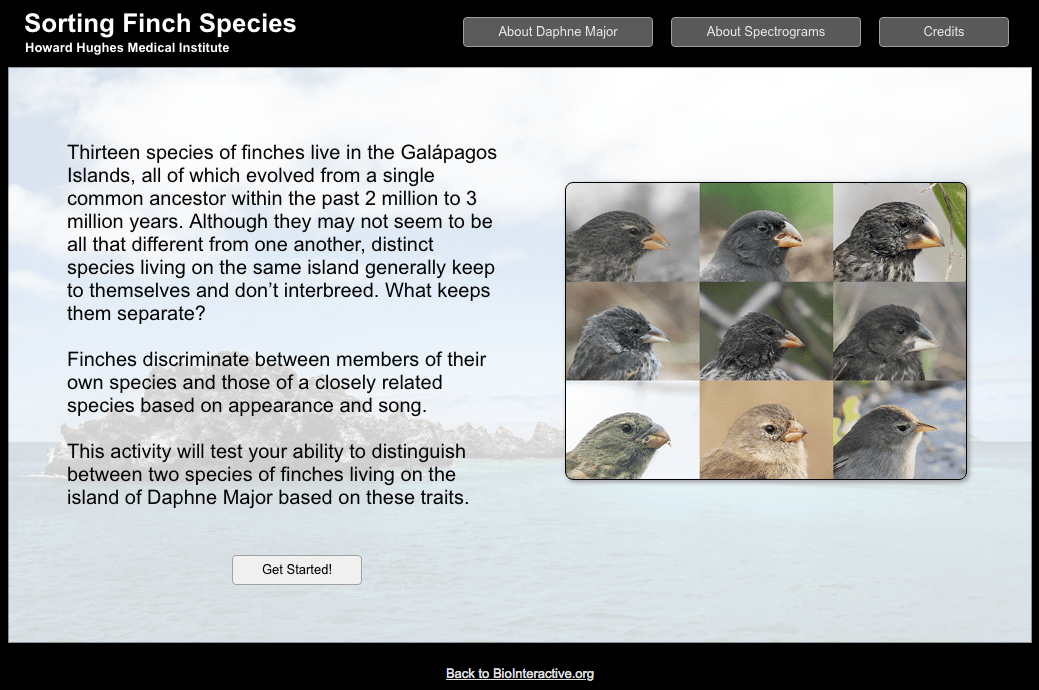 Sorting finch species click and learn answer key